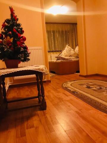 Фото номера Двухместный номер с 1 кроватью Гостевой дом Casa BOICO г. Гура-Гуморулуй 9