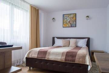 Фото номера Номер с кроватью размера «queen-size» Гостевой дом Residence Ghinita Bucovina г. Гура-Гуморулуй 6