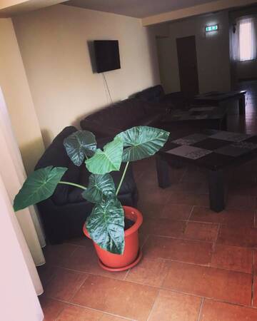 Фото номера Трехместный номер Отель Casa Rubin г. Гура-Гуморулуй 6