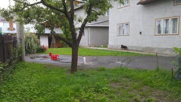 Фото Гостевой дом B&amp;B Dumbrava г. Гура-Гуморулуй 3