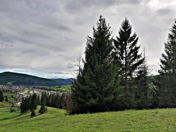 Фото номера Дом с 5 спальнями Дома для отпуска Bucovina Sky View г. Гура-Гуморулуй 52