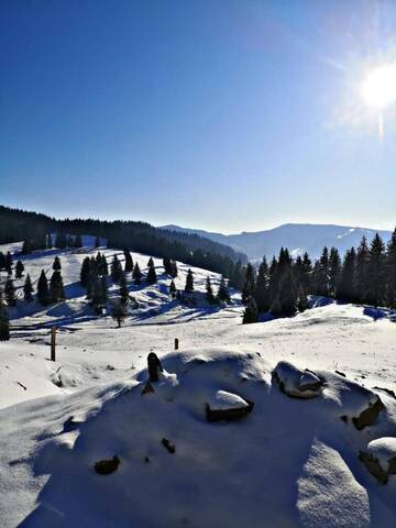 Фото номера Дом с 5 спальнями Дома для отпуска Bucovina Sky View г. Гура-Гуморулуй 53