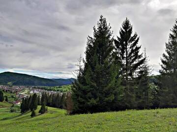 Фото номера Дом с 5 спальнями Дома для отпуска Bucovina Sky View г. Гура-Гуморулуй 11