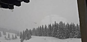Фото номера Дом с 5 спальнями Дома для отпуска Bucovina Sky View г. Гура-Гуморулуй 16