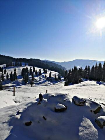 Фото номера Дом с 5 спальнями Дома для отпуска Bucovina Sky View г. Гура-Гуморулуй 17